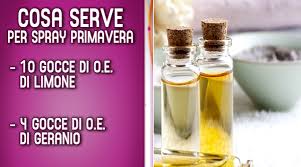 Prepara il sapone fatto in casa e fai un regalo di natale originale. Detto Fatto Spray Detersivo Piatti E Pavimenti Da Fare In Casa Ultime Notizie Flash