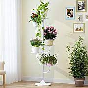 Zia flora è un portavasi verticale da parete, dove le mensole sono alternate sulle due facce del sostegno e intercalate ad altezze variabili di 15cm. Portavasi Da Interno Confronta Prezzi E Offerte E Risparmia Fino Al 50 Lionshome