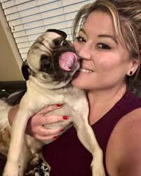 This is Finn. He will be three in February. Has his shots and is neutered.  No fleas or health issues. His owners were moving and couldn't find  somewhere for him to go,