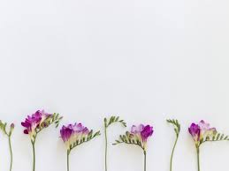 De Geuren En Kleuren Van De Freesia Doodle Bunga Bunga Doodle
