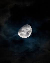 8,000+ Best Moon Images · 100% Free Download · Pexels Stock Photos
