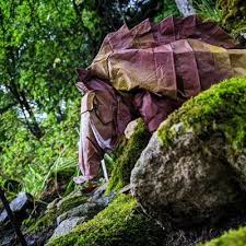 Patrick Alberto (@Patrick47962736)