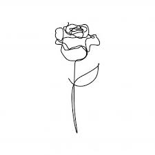 Rose Flower One Line Vector Minimalism Drawing Style Png And Vector Line Art Drawings Line Art Flowers Flower Drawing