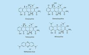 Image result for Tetracyclines