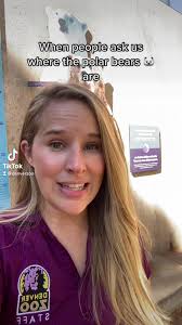 When Are Polar Bears Coming to Calgary Zoo