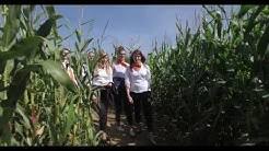 Waldecker bank eg, bad arolsen: Waldecker Bank Youtube