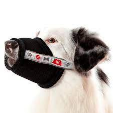 A focinheira para cachorro de metal é composta por uma grade frontal, que consegue abranger toda a parte necessária do rosto do seu cão. Focinheira Conforto Para Contencao Capixaba Petshop