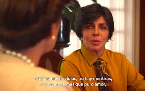 En la casa de las flores actúan verónica castro, aislinn derbez, darío yazbek bernal la serie le cayó bien a netflix luego del éxito de luis miguel. 19 Casa De Las Flores Ideas Netflix Memes Me Tv
