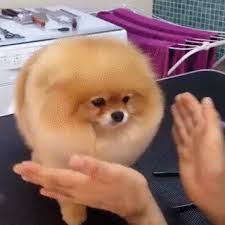 Https Encrypted Tbn0 Gstatic Com Images Q Tbn And9gcth8a8wold5yh3t9ynjaacjxsj1lirpceuudw Usqp Cau