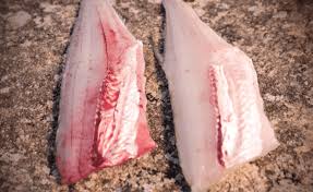 A1 walleye information, 100's of walleye tips and walleye tactics, walleye message board, chat site walleye francaise. Bleeding Walleyes For Better Fillets Side By Side Comparison Anglingbuzz