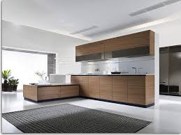 Frameless cabinet construction is a style originally known mostly in europe. Contemporary Kitchen Cabinets For A Posh And Sleek Finish