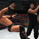 For wwe '13 on the wii, gamefaqs has 43 cheat codes and secrets. Wwe 13 Cheats And Cheat Codes Wii