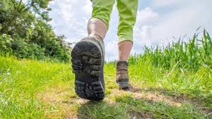 Dietbet is another app that pays you to bet on losing weight. 20 Best Apps That Pay You To Walk How To Fire