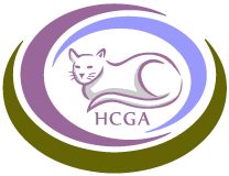 Learn more about underdog rescue of florida in bradenton, fl, and search the available pets they have up for adoption on petfinder. Hcga Member Directory Holistic Cat Groomers Alliance