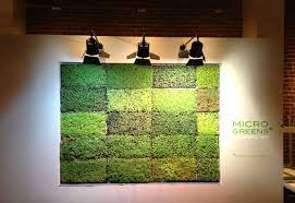 Whether you're a novice who is typically afraid of stepping foot into the kitchen, or a seasoned cook who wants to multitask, the following smart kitchen appliances. Grow Your Own Microgreens For Better Health Vertical Garden Systems Microgreens Architecture Fashion