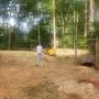 Southern cut stump grinding from m.yelp.com