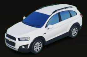 Image result for Sandy Beach Brown 2011 Captiva