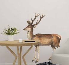 The two main groups of deer are the cervinae, including the muntjac, the elk (wapiti), the red deer, the fallow deer, and the chital; Vintage Deer Stag Animal Wall Sticker Tenstickers
