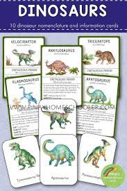 Dinosaurs Montessori 3 Part Cards And Information Cards Dinosaur Theme Preschool Dinosaurs Preschool Dinosaur Activities