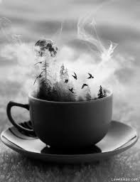 Beautiful Black And White Art Photography Bedazzling And Beautiful World Of Black And White Art Bored Art In 2020 Surrealism Photography Tea White Photography