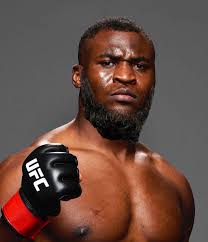 We've just witnessed Francis Ngannoumedov. : r/ufc