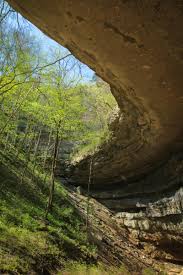 hiking cedar sink trail in mammoth cave