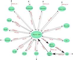 I would not think that 3 small screws in a metacarpal bone would set off metal detectors but they could with the advances in scanning technology at ai. Systems Analysis Of Iron Metabolism The Network Of Iron Pools And Fluxes Bmc Systems Biology Full Text
