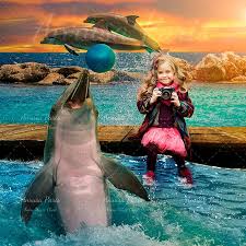 Digital Background With Funny Dolphin Funny Dolphin Digital Background Digital Backgrounds