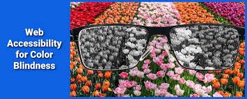 Image result for Color Blindness