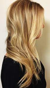 Pin By Elle Marie Hair Studio On Devon Stephanie Friend Honey Blonde Hair Honey Blonde Hair Color Hair
