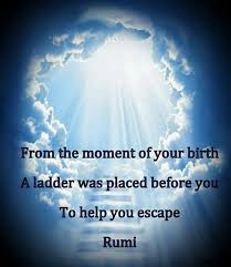 From The Moment Of Your Birth A Ladder Was Placed Before You To Help You Escape Rumi Rumi Quotes Rumi Love Quotes Rumi Love