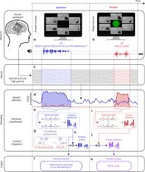 More help with question 2. Real Time Decoding Of Question And Answer Speech Dialogue Using Human Cortical Activity Nature Communications