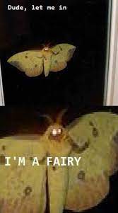 Pin On Funny Pics