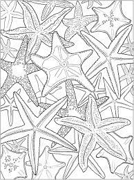 Welcome To Dover Publications Ch Beautiful Nature Designs Designs Coloring Books Coloring Books Coloring Pages