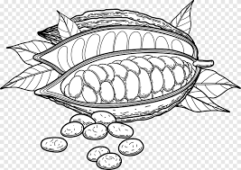 Maybe you would like to learn more about one of these? Sketsa Kakao Kakao Buah Png Pngegg