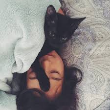 Why Does My Cat Put Her Paws On My Face Cuteness Dog Throwing Up Cats Cat Throwing Up