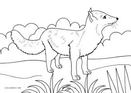 Foxes can be found in most parts of the world, they can live almost anywhere, in towns and cities, mountains, K4wfym Njy Hjm