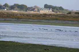 Riantec Petite Mer De Gavres Bretagne Morbihan France Bretagne Morbihan France