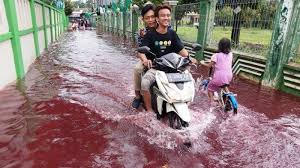 Sketsa gambar mewarnai bencana banjir sketsa gambar hewan merupakan gambaran kasar dari gambar hewan yang biasanya berupa garis yang belum selesai atau belum diberi warna. Inilah Penyebab Air Banjir Warna Merah Di Pekalongan Menurut Ketua Rt Obat Batik Tribun Jateng