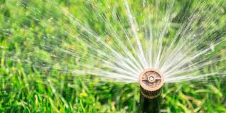 It's obvious that your lawn needs water to survive. Lawn Watering Tips In Ohio The Best Time To Water Grass