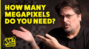 How Many Megapixels Do You Need?