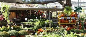 Buchanan S Native Plants Houston Tx Has A Great Monthly To Do Garden Calendar Garden Calendar Plants Native Plants