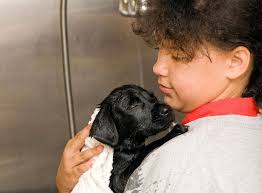 Humane Rescue Alliance