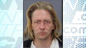 Man who stole pit bull puppy from shelter sentenced to one year behind bars