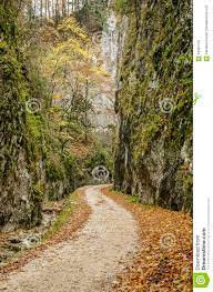 Check spelling or type a new query. Steile Felsenwande In Zarnestiului Schlucht Stockfoto Bild Von Herrlich Herbstlich 63991470