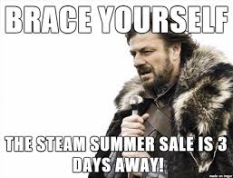 This year, i'm here again to make the most important question in the steam world! Steam Summer Sale Meme On Imgur
