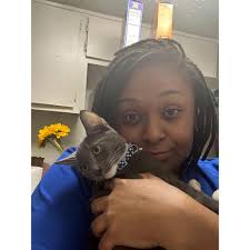 Post #82 Aaron to Zephaniah- The Catherines (and many other versions of the  name). I'll be doing this in chronological order of birth. It will take a  lot of time, but I'll