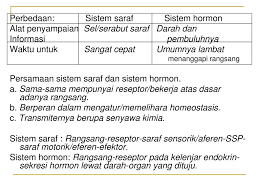 Secara keseluruhan, sistem saraf pada manusia tersusun dari beberapa bagian organ. Bagaimana Perbedaan Organ Penyusun Antara Sistem Saraf Dengan Sistem Hormon Tips Membedakan