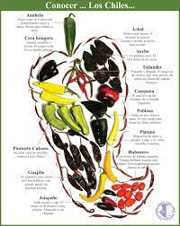 El Chile Condimento Internacional Chileros