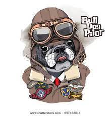  Portrait Of The French Bulldog In A Aviator Helmet And Leather Jacket With A Sewing Embroidery Patch Dog Illustration Bulldog Hand Drawn Vector Illustrations